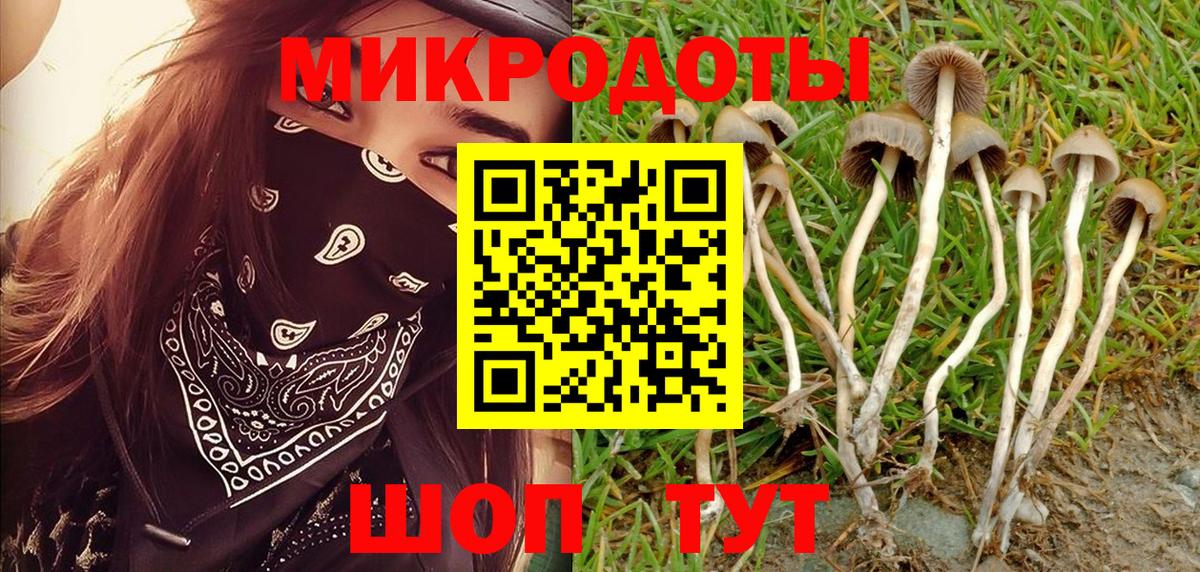 Георгиевск  Галлюциногенные грибы Magic Shrooms  Вход с VPN 