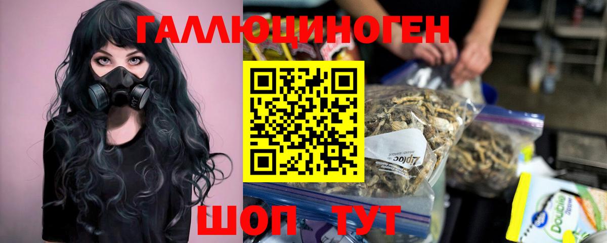 Галлюциногенные грибы MAGIC MUSHROOMS Георгиевск